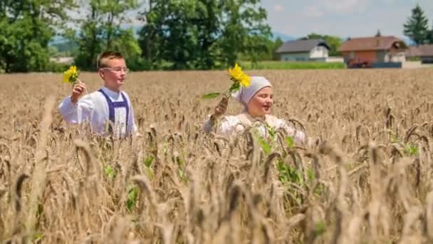 Dvě děti skákají přes pšeničné pole a drží slunečnice. Pomalý pohyb - Záběry, video