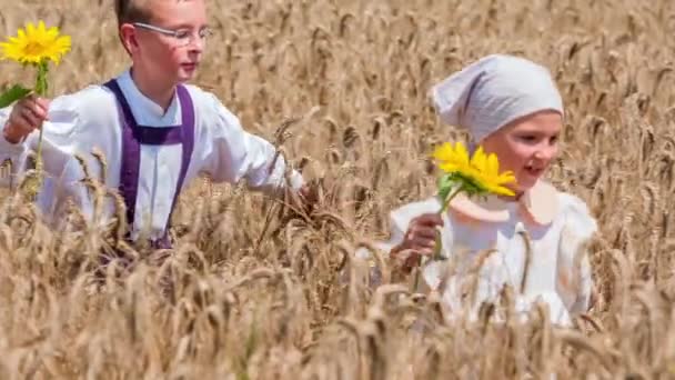 Blick in Zeitlupe: Bruder und Schwester hüpfen mit Sonnenblumen durch Weizenfeld - Filmmaterial, Video