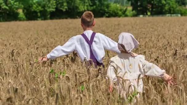 Twee kinderen die door het tarweveld rennen met hun armen uit. Langzame beweging - Video
