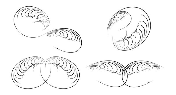 Kalligrafie barokke curven. - Vector, afbeelding