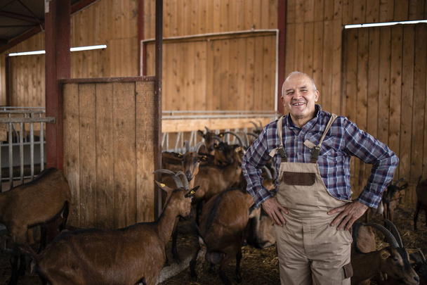 Portrait d'un ouvrier agricole ou d'un éleveur debout parmi des chèvres domestiques et souriant. Une agriculture et une production alimentaires biologiques réussies. - Photo, image