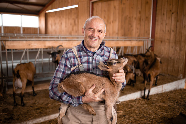 Portrait d'un ouvrier agricole plus âgé ou d'un éleveur tenant un chevreau dans une ferme. En arrière-plan animaux domestiques debout et mangeant. - Photo, image