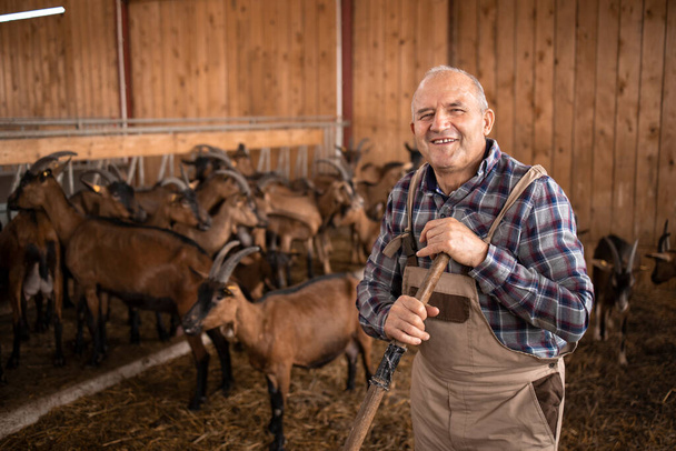 Portrait d'un agriculteur ou d'un éleveur debout dans une ferme. En arrière-plan chèvre animaux domestiques debout et mangeant. - Photo, image