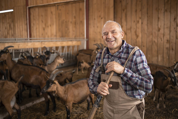 Retrato de fazendeiro sorridente ou pecuarista em pé na fazenda. No fundo caprinos animais domésticos em pé e comendo. - Foto, Imagem