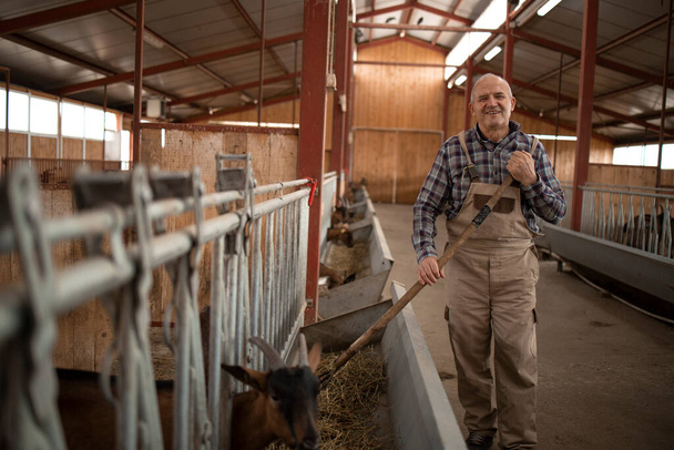Porträt eines lächelnden Bauern oder Viehzüchters, der im Bauernhaus steht und Tiere füttert. Im Hintergrund stehen Ziegen und fressen. - Foto, Bild