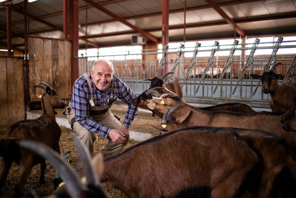 Campesino cuidando animales domésticos y jugando con cabras en granja. - Foto, Imagen