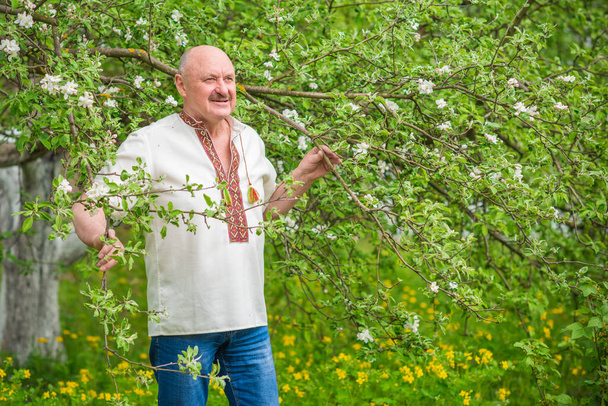 Senior man in embroidered shirt at blossom garden - Photo, Image