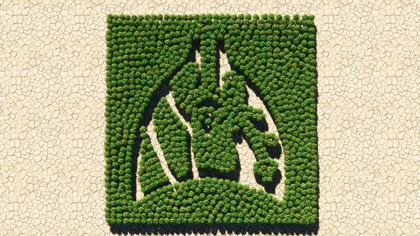 Conceito ou grupo conceitual de árvore florestal verde em fundo seco, sinal dos pulmões e do coração. Uma metáfora ilustração 3d para medicina, transplante coração-pulmão, doenças pulmonares ou cardíacas  - Foto, Imagem