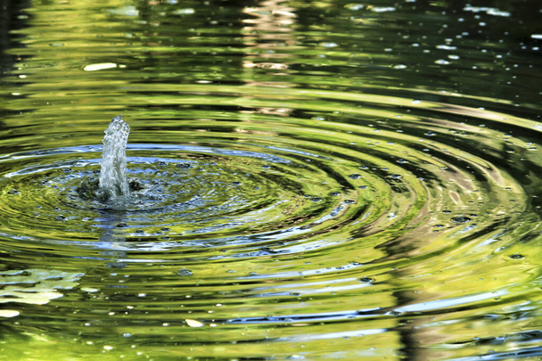 庭に波を形成する池の中の水のジェット - 写真・画像