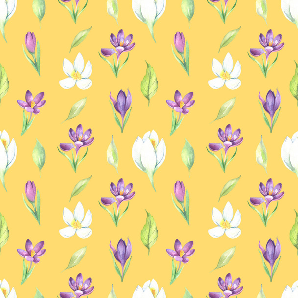 Wildflower crocuses flower pattern in a watercolor style isolated. Aquarelle wild flower for background, texture, wrapper pattern, frame or border. - Zdjęcie, obraz