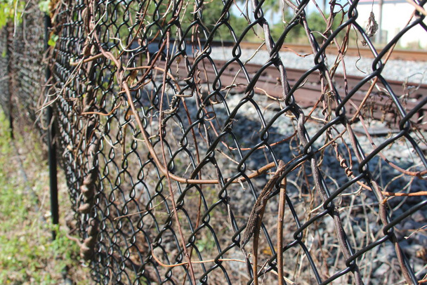 забор рядом с железнодорожными путями - Фото, изображение