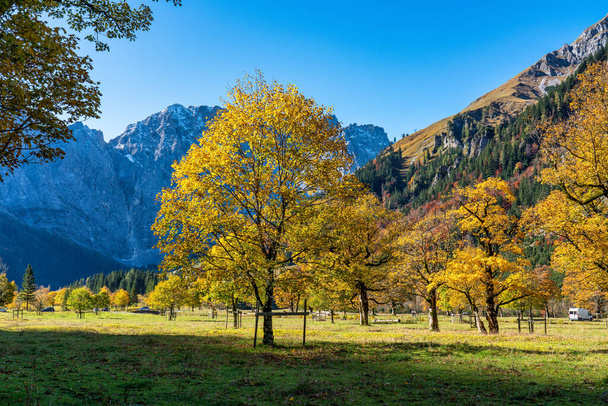 Őszi kilátás a juharfák Ahornboden, Karwendel hegyek, Tirol, Ausztria - Fotó, kép