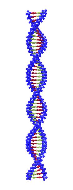 Illustrazione 3d rendering di stringhe di DNA - Foto, immagini