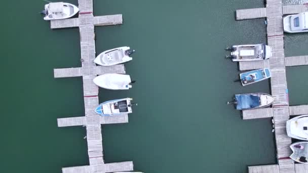 Luchtfoto van boten aangemeerd in de baai - Video