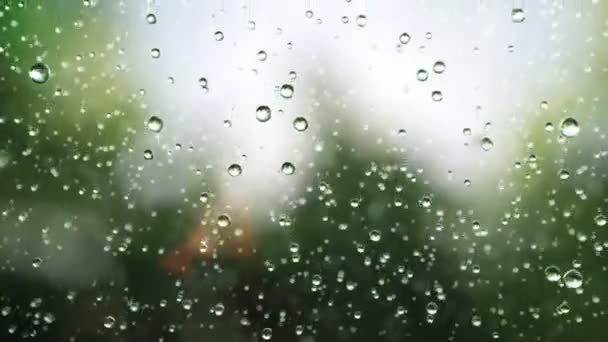 krásné dešťové kapky - Záběry, video