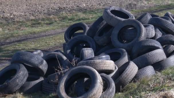 ポーランドのシレジア州の小麦畑の隣でタイヤが不法にオフになります - 映像、動画