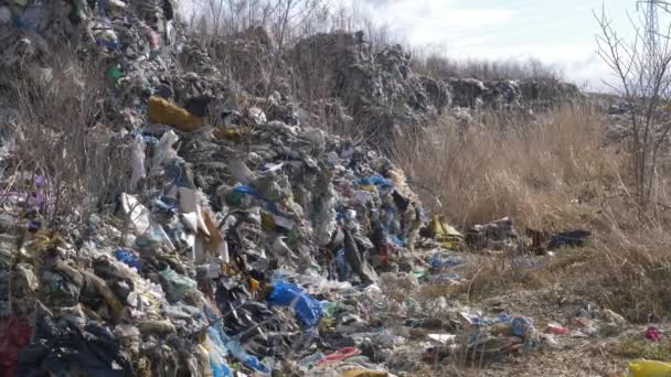 プラスチックの不法投棄。ドイツから輸出された有毒プラスチックは、ポーランドの空の採石場で収集され、リサイクルされていません. - 映像、動画