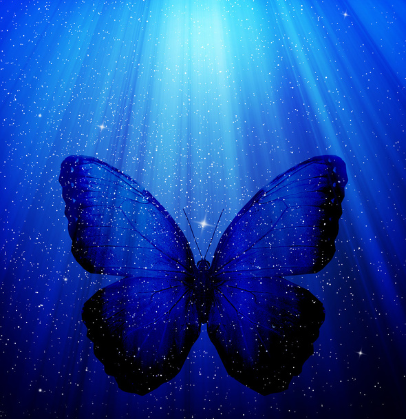 Background with butterfly - Foto, imagen