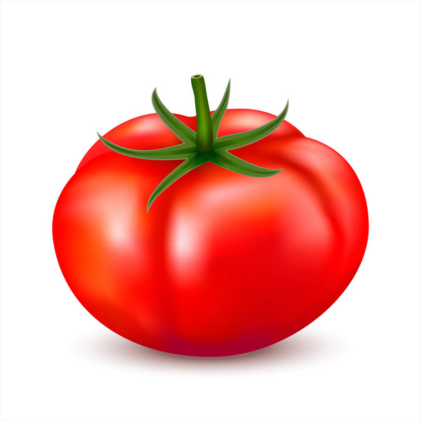 3d realista vermelho grande tomate inteiro isolado no fundo branco. ilustração 3d - Vetor, Imagem