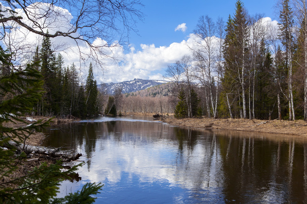 Spring landscape Inzer River South Ural - Фото, изображение