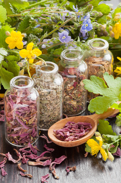  herbs in glass bottles, healthy plants and wooden spoon - Фото, изображение