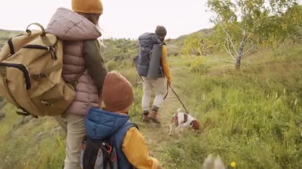 Suivre le ralentissement de l'homme, de la femme, du garçon de 5 ans et du mignon chien Jack Russell Terrier en laisse en randonnée ensemble le jour ensoleillé. Ils portent des sacs à dos et marchent le long d'un chemin étroit sur une colline verte - Séquence, vidéo