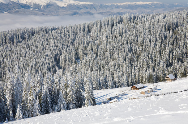 Χειμερινές ήρεμο ορεινό τοπίο με κάποια χιόνι κάλυψε πηγάζει στην πρώτη γραμμή και να ρίχνει την ομάδα πίσω από το (η θέα από το χιονοδρομικό κέντρο Bukovel (Ουκρανία) Svydovets κορυφογραμμή) - Φωτογραφία, εικόνα
