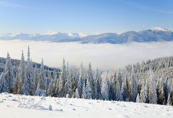 Zimowy krajobraz górski - Zdjęcie, obraz