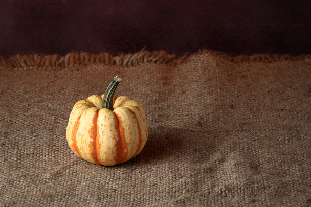 pumpkin - Fotografie, Obrázek