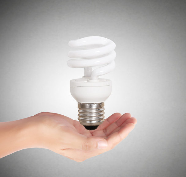  light bulb in the hand  - Foto, Bild