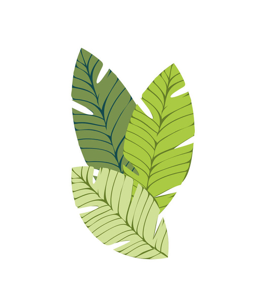 palmbladeren - Vector, afbeelding