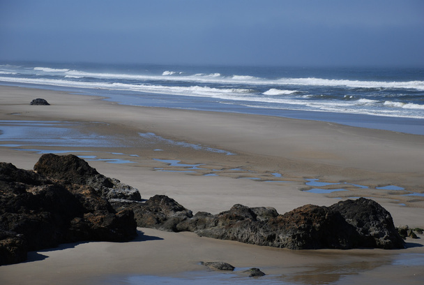 Strand mit Felsen штату Орегон - Фото, зображення