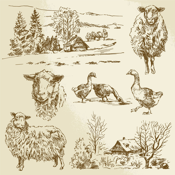 wiejski krajobraz, Farma Zwierzęca - ręka ilustracja  - Wektor, obraz