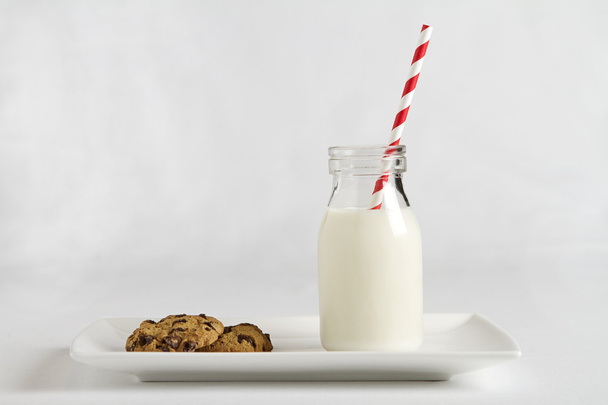 mléko a soubory cookie pro santa claus na Štědrý večer horizontální - Fotografie, Obrázek