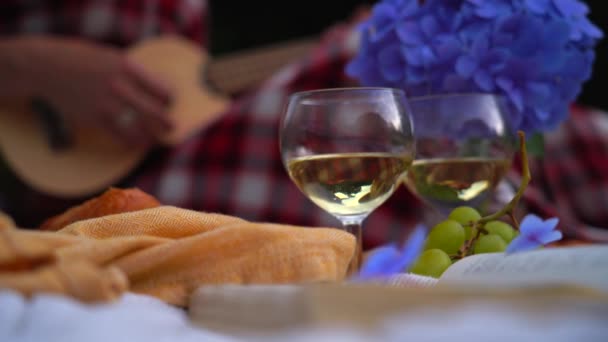 Κορίτσι σε κόκκινο καρό φόρεμα και καπέλο κάθεται σε λευκό πλεκτό κουβέρτα πικνίκ παίζει γιουκαλίλι και πίνοντας κρασί. Καλοκαιρινό πικνίκ την ηλιόλουστη μέρα με ψωμί, φρούτα, λουλούδια ορτανσία μπουκέτο. Επιλεκτική εστίαση - Πλάνα, βίντεο