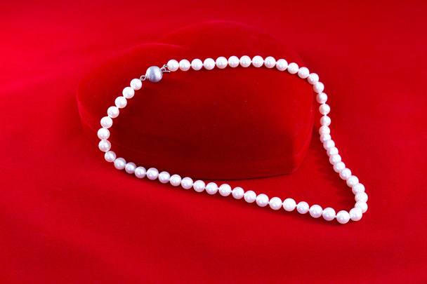 真珠のネックレス - 写真・画像