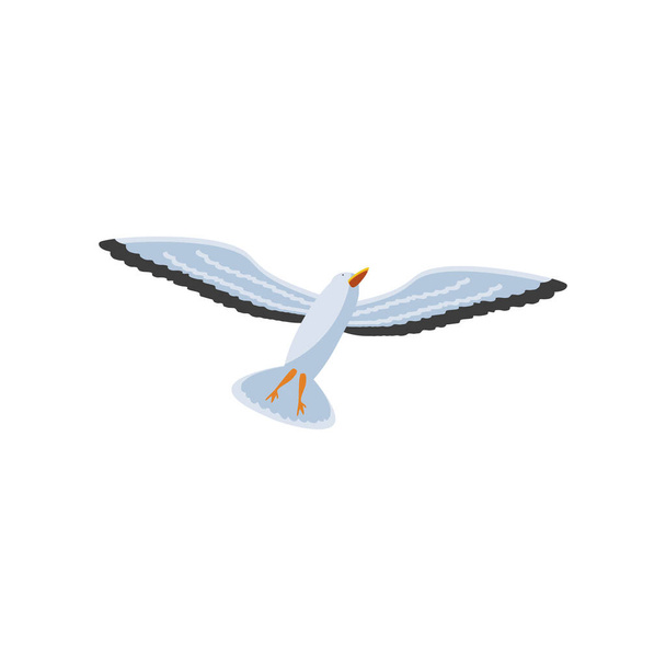 racek pták zvíře - Vektor, obrázek