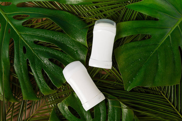 Déodorants ou antisudorifiques sur fond vert avec feuilles de palmier tropicales, gabarit. produits naturels de soins du corps bio, modèle - Photo, image