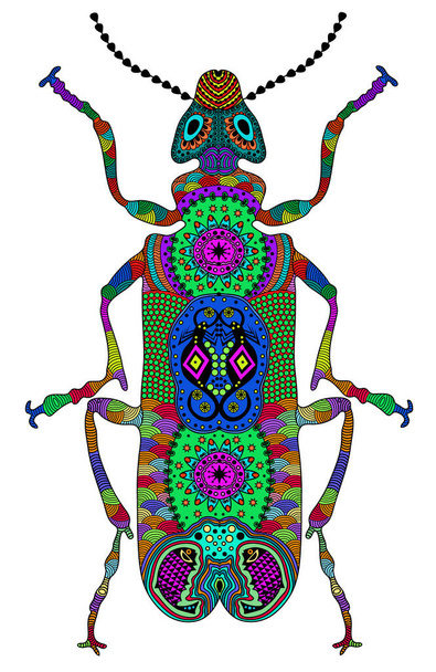 Zentangle stylized color beetle. Hand Drawn vector illustration. Books or tattoos with high details isolated on white background. Collection of insects. - Vektor, obrázek