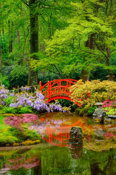 Japanischer Garten, Park Clingendael, Den Haag, Niederlande - Foto, Bild
