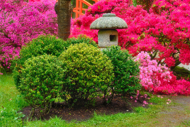 Japonská zahrada, Park Clingendael, Haag, Nizozemsko - Fotografie, Obrázek