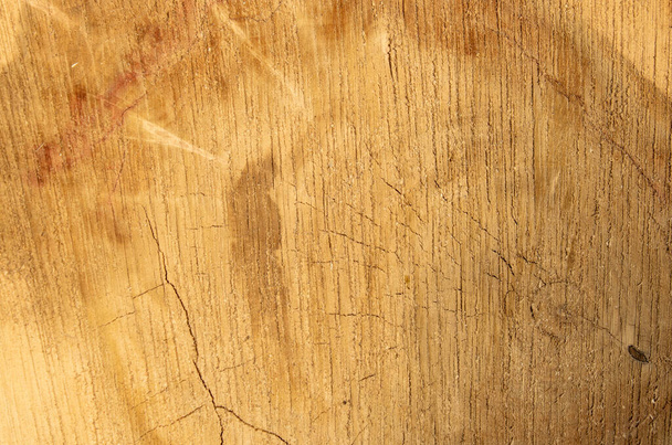 Struttura tronco d'albero del legno. Un albero segato. Sezione trasversale di l - Foto, immagini