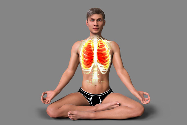 Een jonge man in Lotus yoga positie, of Padmasana, met gemarkeerde longen, 3D illustratie. Ademhalingsoefeningen en meditatie voor herstel en preventie van COVID-19 - Foto, afbeelding