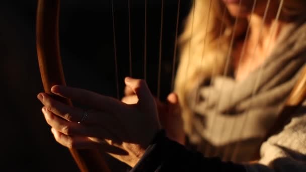 Blondýny žena hraje lyru na ulici - Záběry, video