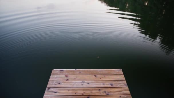 Pequeño muelle en estanque tranquilo - Metraje, vídeo