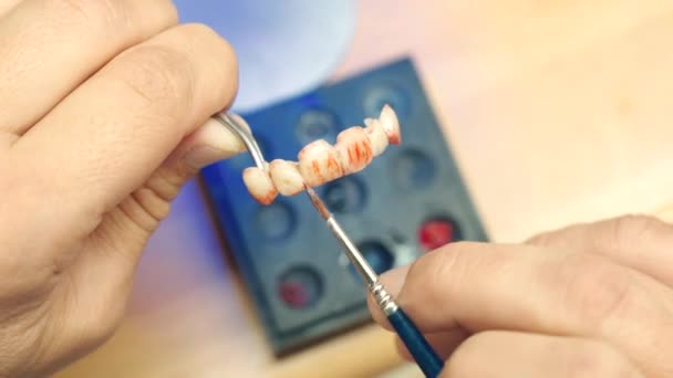 Crop tandarts schilderen tandheelkundige brug met keramiek - Video