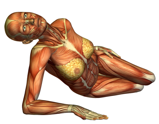 3D rendant le corps féminin musculaire couché
 - Photo, image