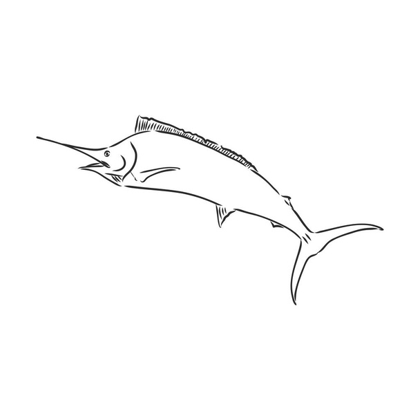 Hand Drawn Marlin hal ugrás marlin, vektor vázlat egy fehér háttér - Vektor, kép