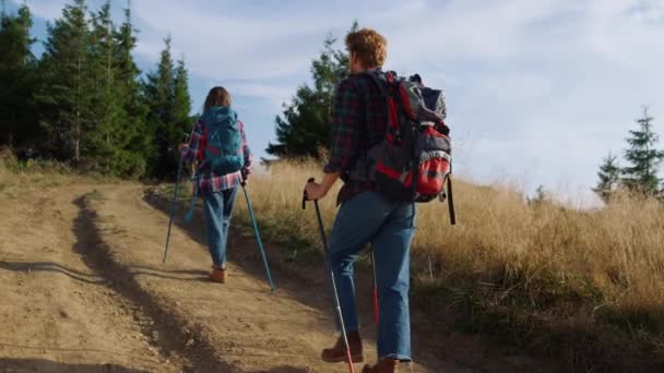 深刻な男と女性の山の中で道路上のトレッキング。ハイキングポールを使う観光客 - 映像、動画