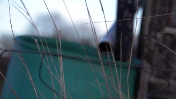 Gras im Garten weht mit Wasserfass und Schlauchhintergrund - Filmmaterial, Video